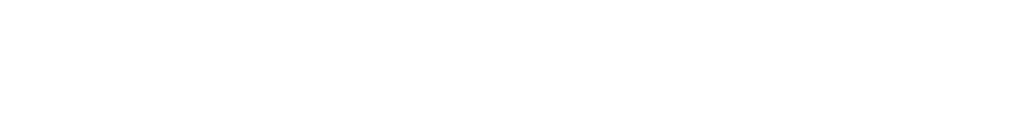 WealthAI Schriftzug